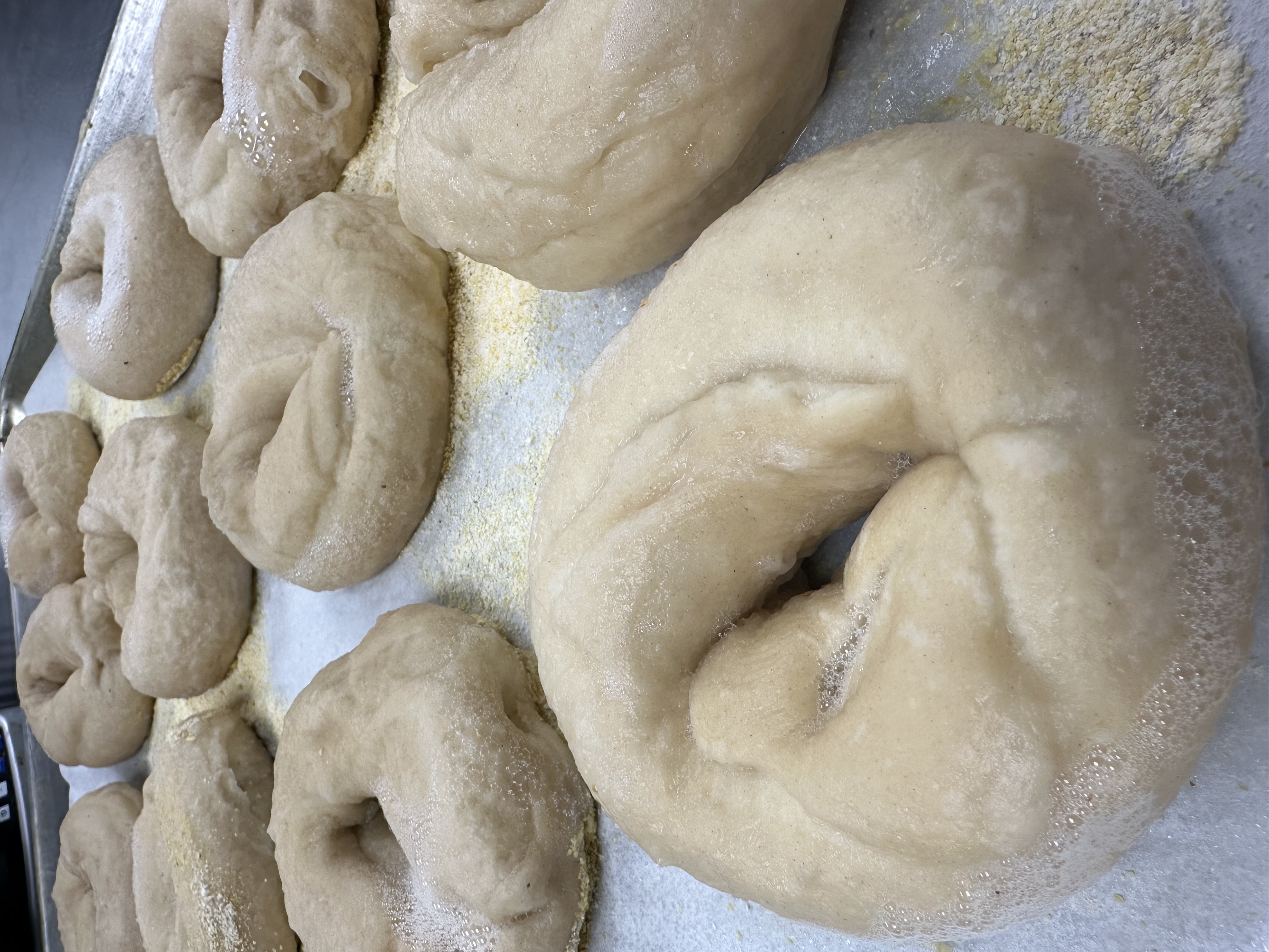 Housemade Bagels